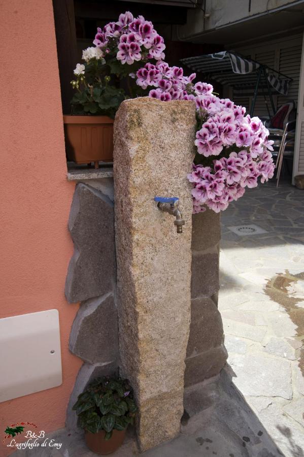 L'Agrifoglio Di Emy Bed and Breakfast Guspini Exteriör bild