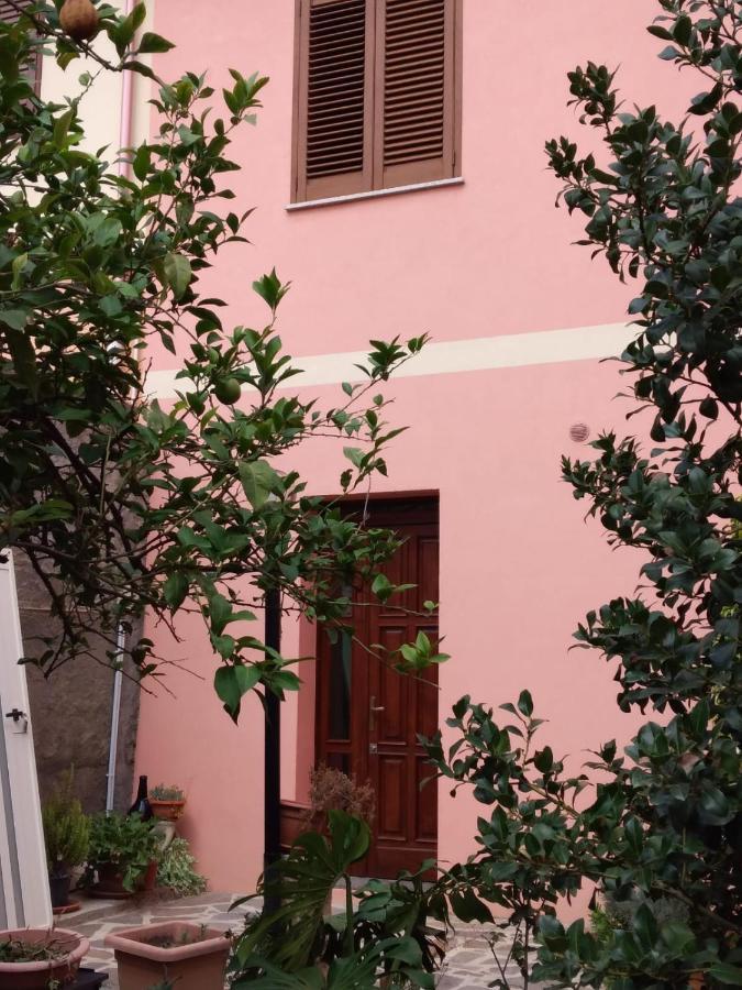 L'Agrifoglio Di Emy Bed and Breakfast Guspini Exteriör bild
